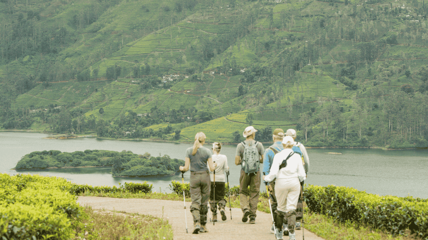 GENTLE NATURE ADVENTURES