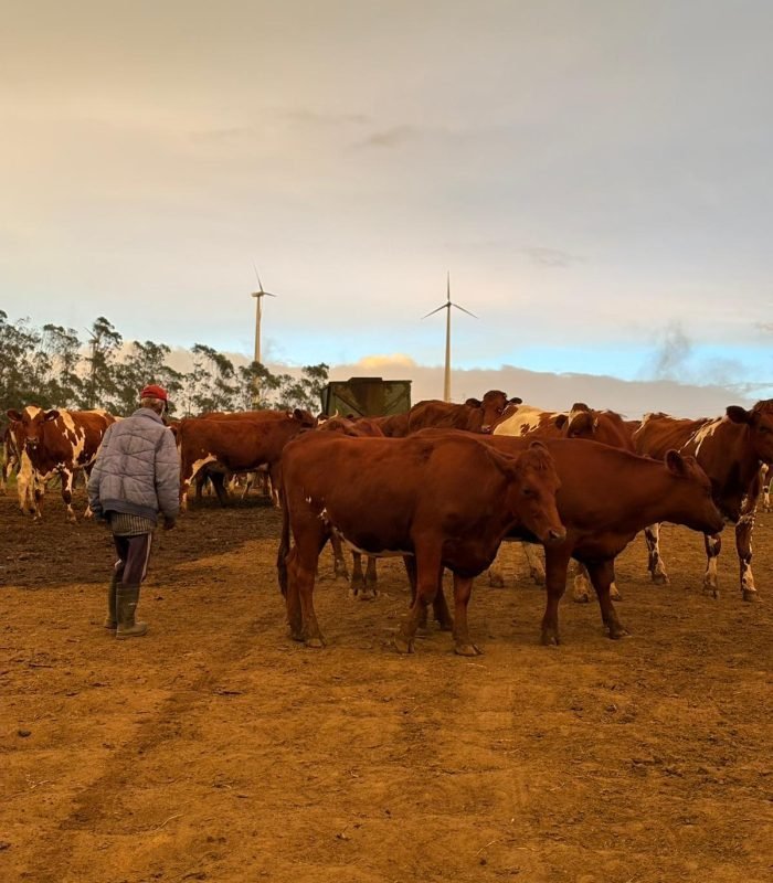 WhatsApp Image 2026-02-07 at 7.27.07 PM (5)